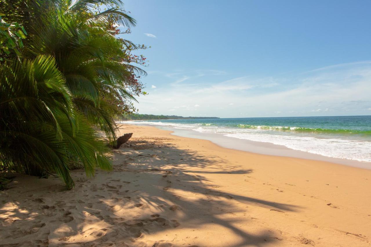 La Coralina Island House Hotel Bocas del Toro Exterior photo