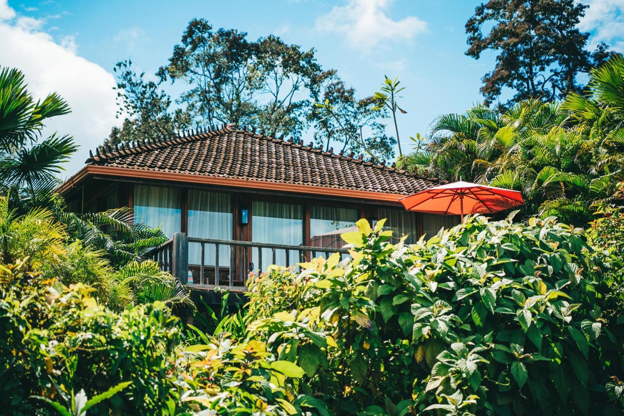 La Coralina Island House Hotel Bocas del Toro Exterior photo